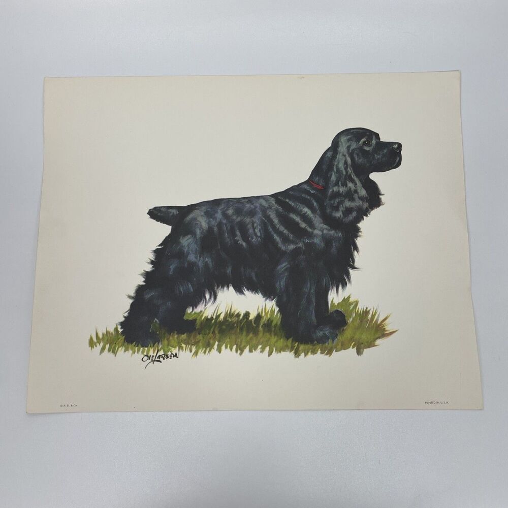 Vintage Ole Larsen Vintage Dog P.D. & Co Print in USA 11”x14 Cocker Spaniel